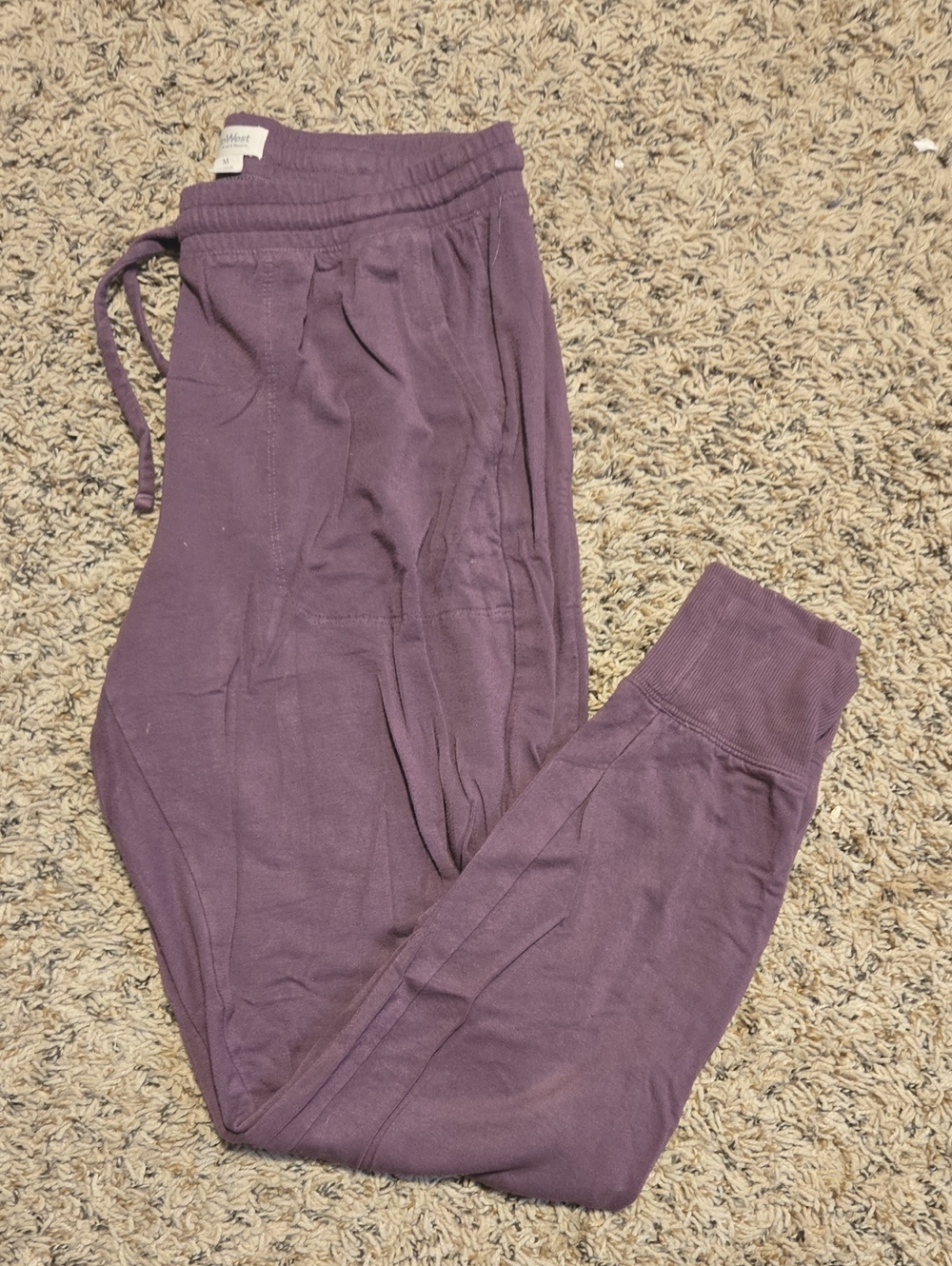 UpWest Plum Purple Jogger Pants
